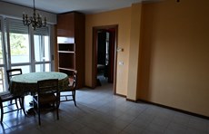 /media/156563/DSC_0965_risultato.JPG